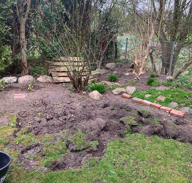 Flachsanbau - Vorbereitung1