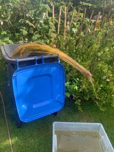 Flachsanbau Wasserröste