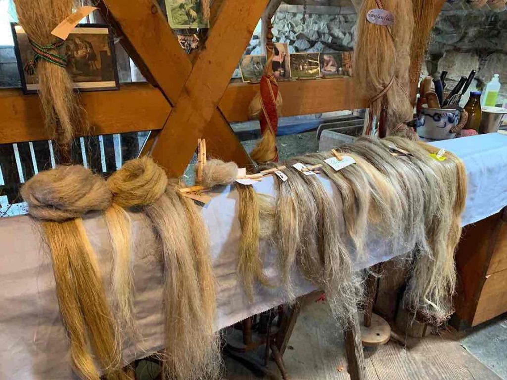 Flachsanbau Langflachs